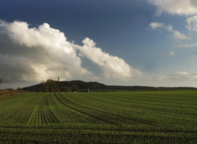Crops break ground in Co Kildare. Farming can be a lonely and isolating activity, according to researchers.