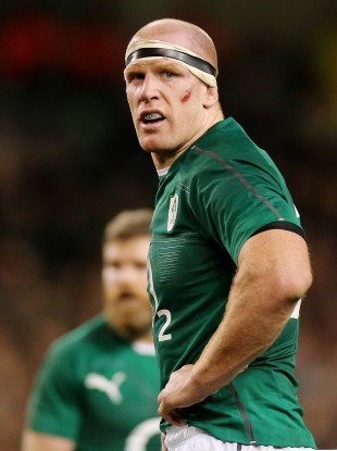 Paul O'Connell has ambitions to lead Ireland at the 2015 World Cup.